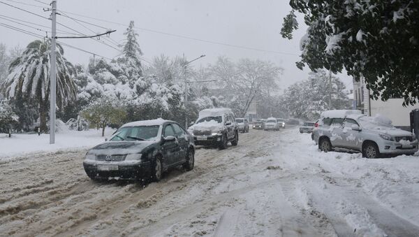 Снегопад в Абхазии - Sputnik Абхазия