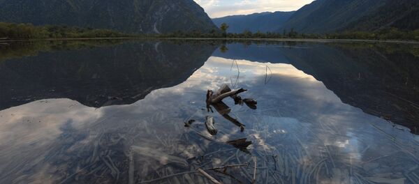 Мыс Кырсай и Южный берег Телецкого озера в Республике Алтай Мыс Кырсай и Южный берег Телецкого озера в Республике Алтай - Sputnik Абхазия