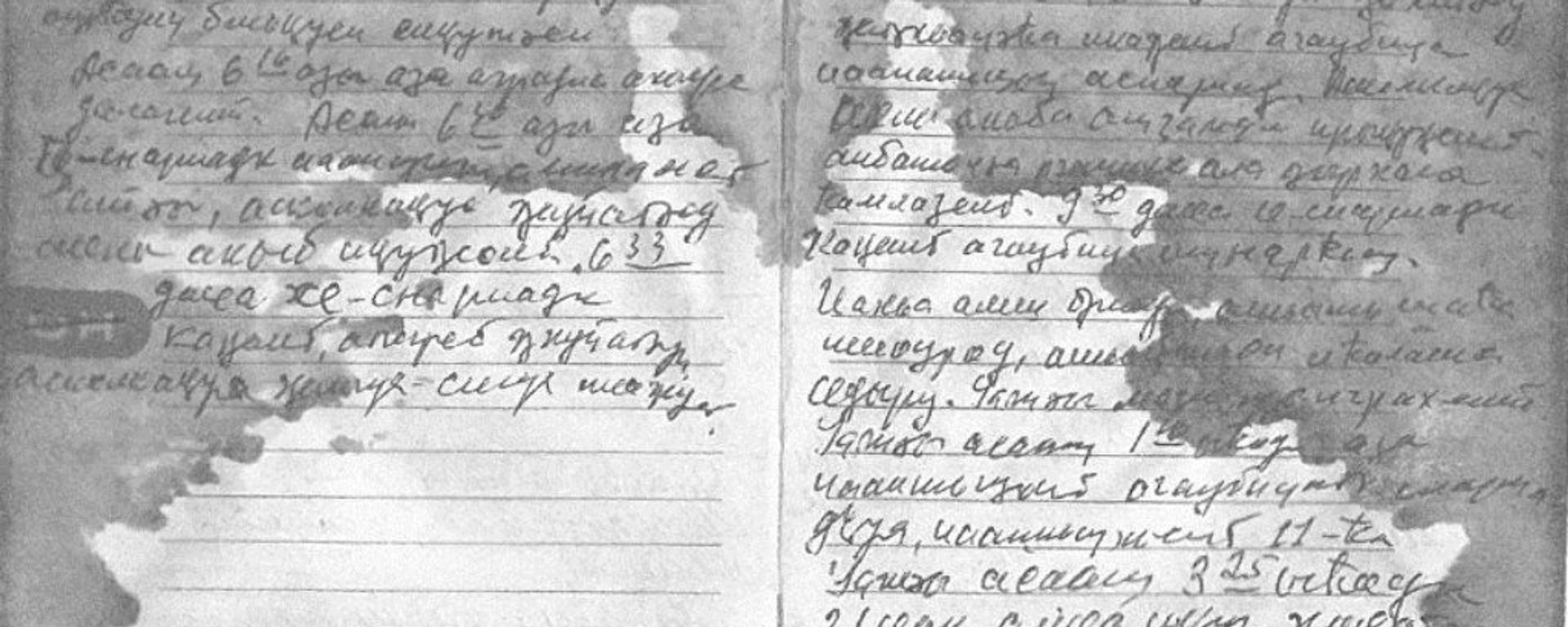 Из дневника военного корреспондента Константина Габниа Из дневника военного корреспондента Константина Габниа - Sputnik Абхазия, 1920, 01.03.2017