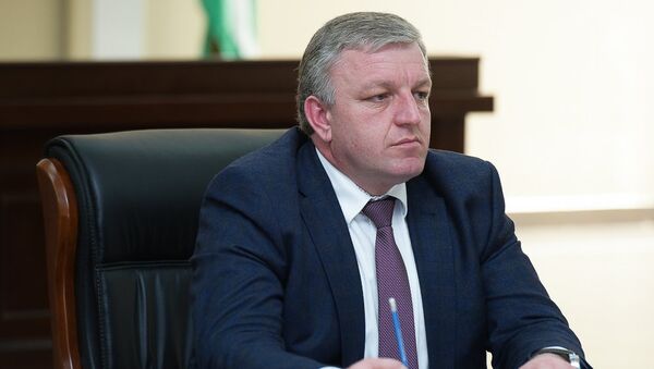 Беслан Барциц на заседании кабмина об исполнении Республиканского бюджета - Sputnik Абхазия