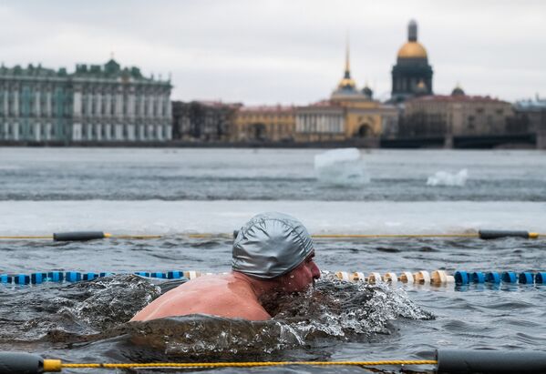 Фестиваль зимнего плавания в Санкт-Петербурге - Sputnik Абхазия
