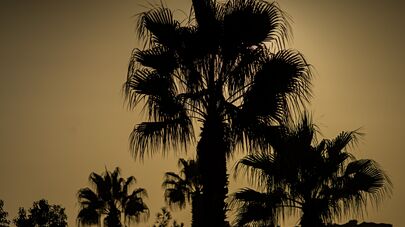 Страны мира. Республика Кипр