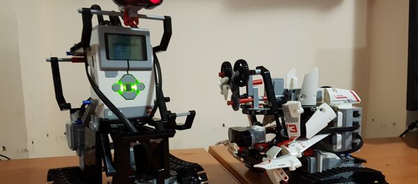 Роботы, сконструированные учениками гагрского лицея-интерната - Sputnik Абхазия