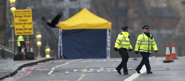 Следователи и полиция на месте теракта на Вестминстерском мосту в Лондоне Следователи и полиция на месте теракта на Вестминстерском мосту в Лондоне - Sputnik Абхазия