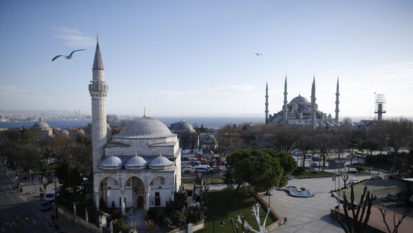 Исторический район Султанахмет в Стамбуле, фото из архива - Sputnik Абхазия