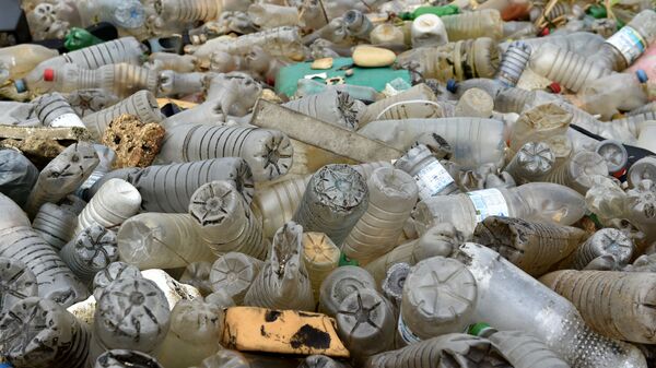 Пластиковые бутылки на мусорной свалке - Sputnik Абхазия