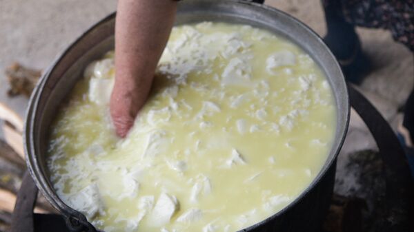 Приготовление первого сыра в селе Дурипш - Sputnik Аҧсны