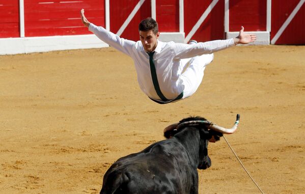 Участник соревнований прыгает через корову - Sputnik Абхазия