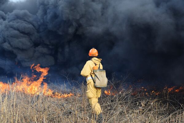 Учения МЧС по тушению лесных пожаров в Хабаровске - Sputnik Абхазия