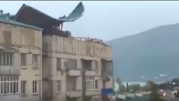Сносит крыши и валит деревья: видео урагана в Гагре - Sputnik Абхазия