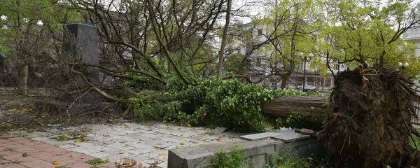 Лев Кәыҵниа Sputnik иазеиҭеиҳәеит аԥшаӷьы иахҟьаз амашәырқәа рҭыԥ ақәҵара шымҩаԥысуа Лев Кәыҵниа Sputnik иазеиҭеиҳәеит аԥшаӷьы иахҟьаз амашәырқәа рҭыԥ ақәҵара шымҩаԥысуа - Sputnik Аҧсны