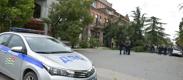 Последствия сильного ветер в Сухуме 23 апреля 2017 года - Sputnik Абхазия