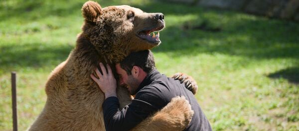 Медведь Балу в семье Ченгелия Медведь Балу в семье Ченгелия - Sputnik Аҧсны