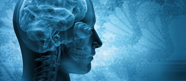 Мозг - Sputnik Абхазия