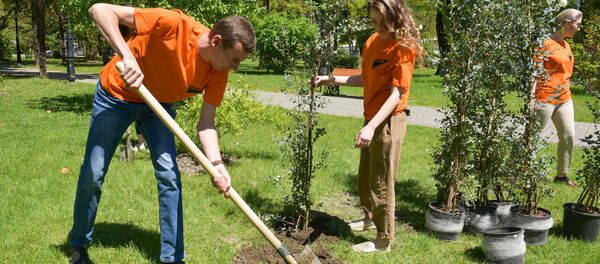 Посадка голубых эвкалиптов в центральном парке коллекивом Sputnik Абхазия - Sputnik Абхазия