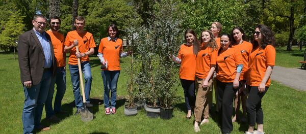 Посадка голубых эвкалиптов в центральном парке коллекивом Sputnik Абхазия - Sputnik Абхазия