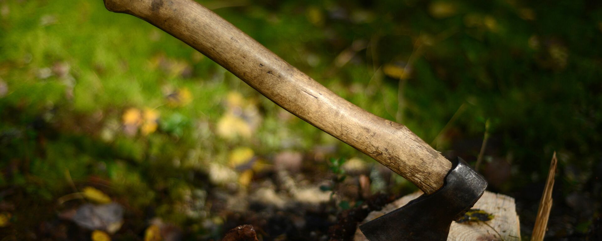 Конкурс лесорубов в Новгородской области - Sputnik Аҧсны, 1920, 23.08.2025