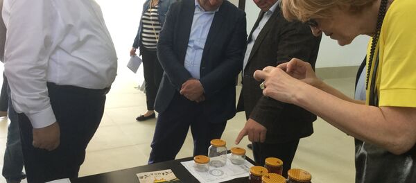 Кындыӷ иаадыртуеит ацха арыцқьареи аихшареи рзы азауад Кындыӷ иаадыртуеит ацха арыцқьареи аихшареи рзы азауад - Sputnik Аҧсны