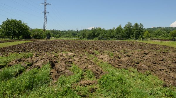 Вспашка земель в селе Багмаран - Sputnik Абхазия