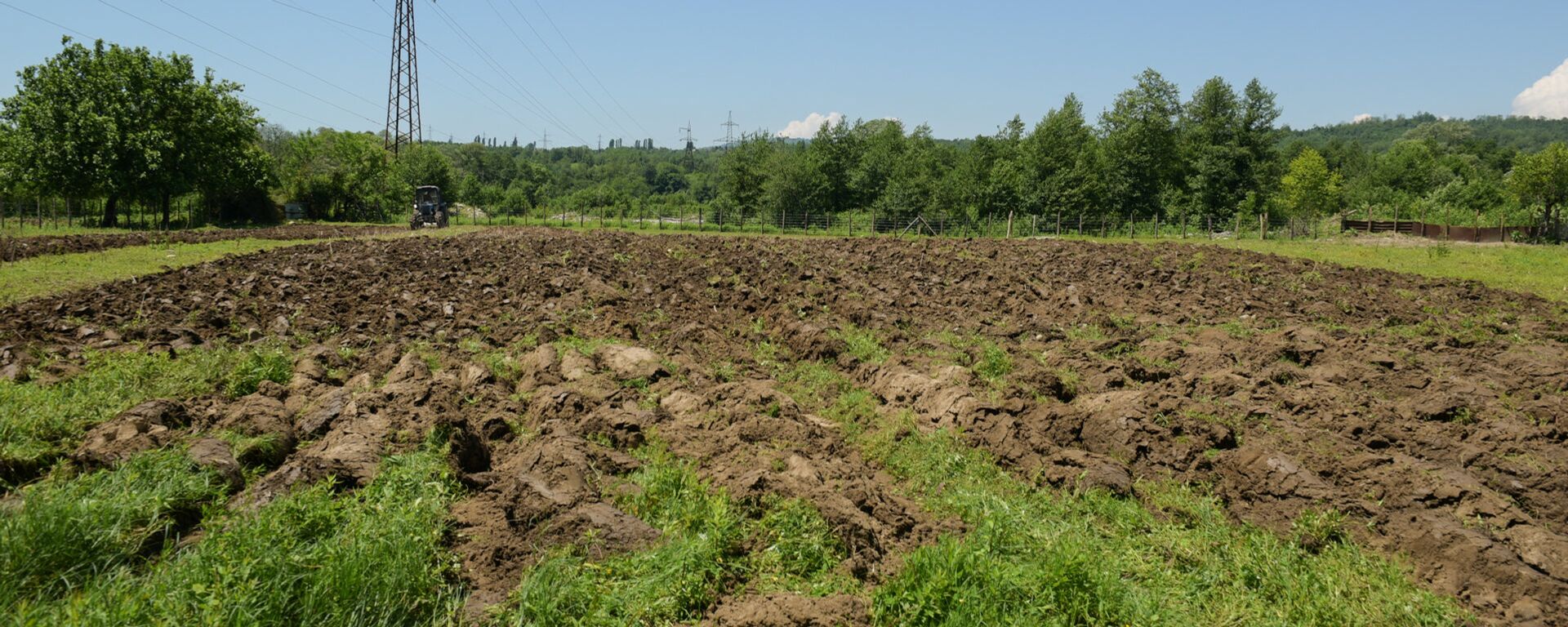 Ҩырк еибашьуан, Ҳабыџь дцәаӷәон: ахатәы хьыӡқәа ирыдҳәалоу ажәаԥҟақәа - Sputnik Аҧсны, 1920, 17.05.2020