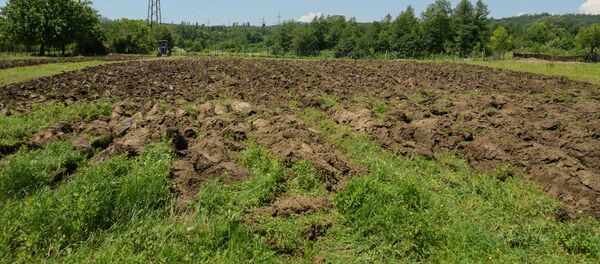 Ҩырк еибашьуан, Ҳабыџь дцәаӷәон: ахатәы хьыӡқәа ирыдҳәалоу ажәаԥҟақәа Ҩырк еибашьуан, Ҳабыџь дцәаӷәон: ахатәы хьыӡқәа ирыдҳәалоу ажәаԥҟақәа - Sputnik Аҧсны