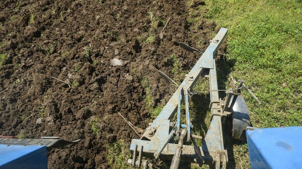 Вспашка земель в селе Багмаран - Sputnik Абхазия