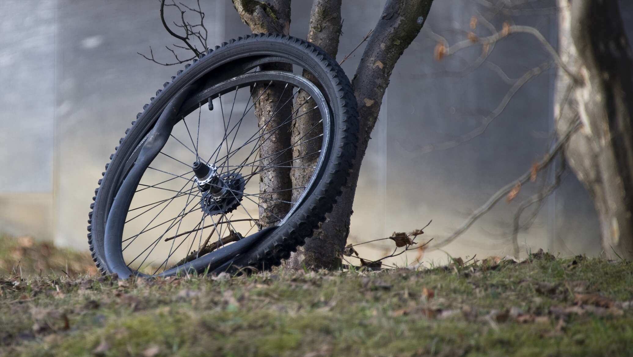 Сдувается колесо велосипеда. Колесо велосипеда. Спущенное колесо велосипеда. Пробитое колесо на велосипеде. Сдутое колесо велосипеда.