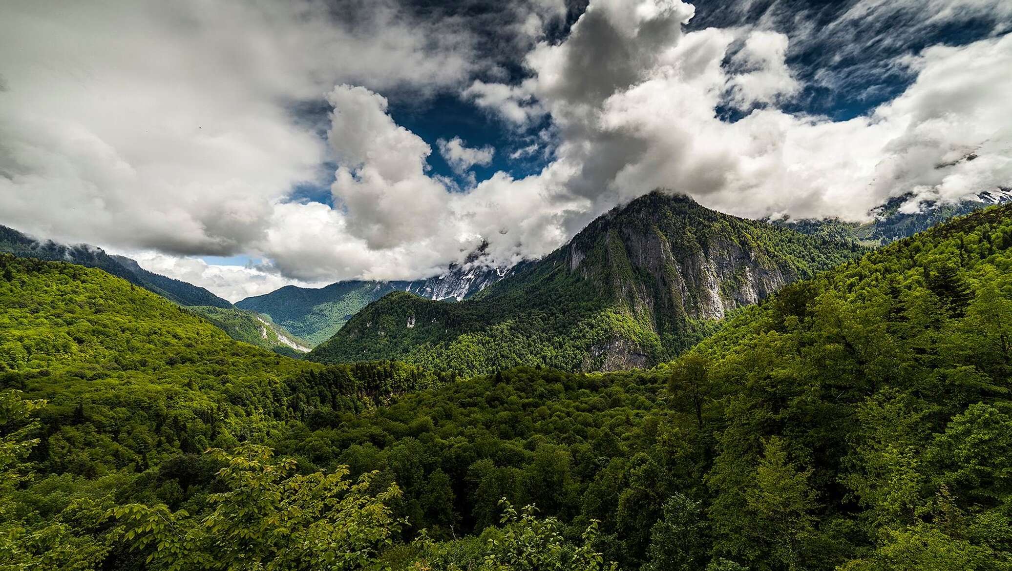Зеленые горы Абхазии