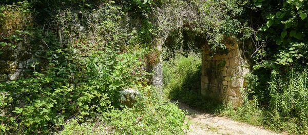 Гора в Абхазии - Sputnik Абхазия