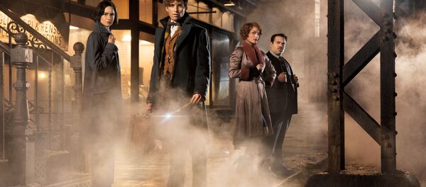 Кадр из фильма Фантастические твари и где они обитают Кадр из фильма Фантастические твари и где они обитают - Sputnik Абхазия