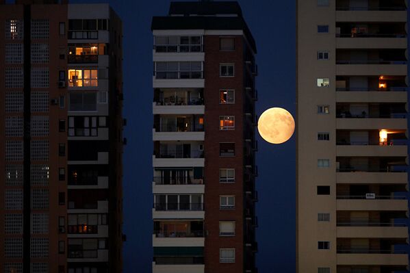 Восходящая луна между жилых высоток на Юге Испании. - Sputnik Абхазия