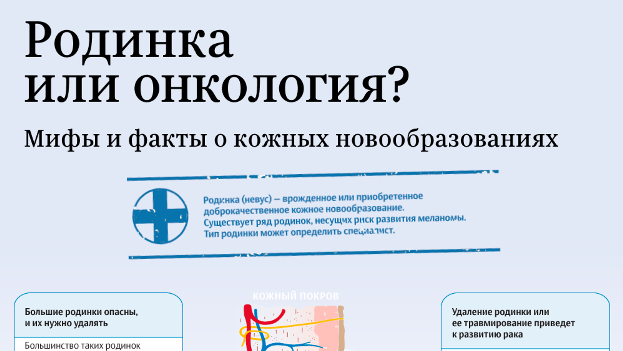 Мифы и факты о кожных новообразованиях - инфографика на sputnik.by