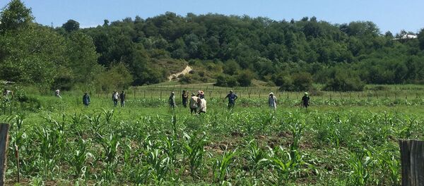 Приморск ақыҭа иахьаҵанакуа арыцқьарақәа ирҿуп - Sputnik Аҧсны