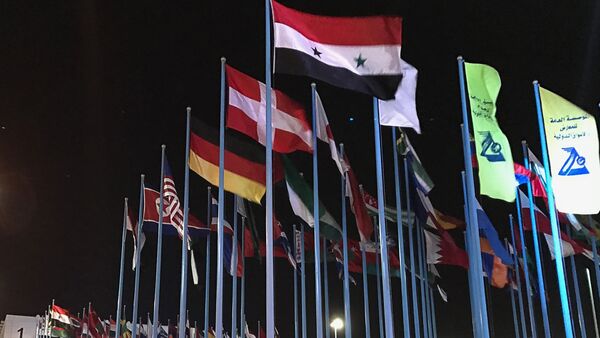 Флаги стран-участниц 59-й Международной промышленной выставки в Дамаске - Sputnik Абхазия