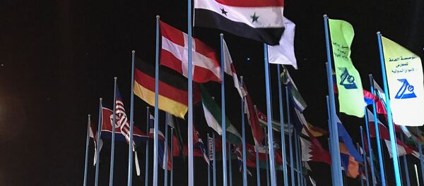 Флаги стран-участниц 59-й Международной промышленной выставки в Дамаске - Sputnik Абхазия