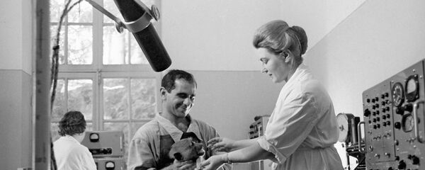 Сухумский обезьяний питомник - Sputnik Абхазия