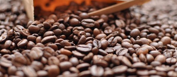 Кофе - Sputnik Абхазия