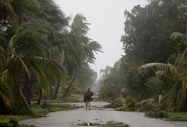 Человек идет по улице заваленной упавшими деревьями, город Неаполь, штат Флорида. - Sputnik Абхазия