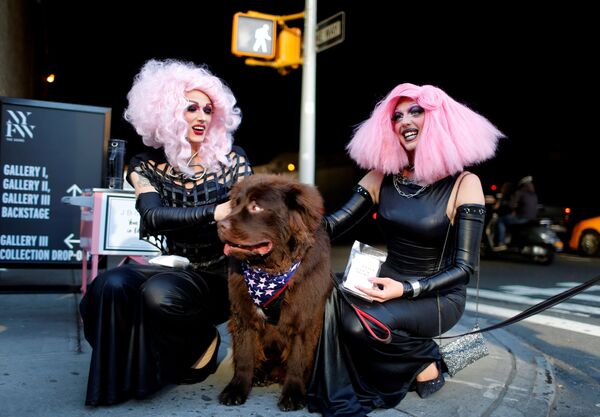 Участницы с собакой на Неделе моды в Нью-Йорке - Sputnik Абхазия