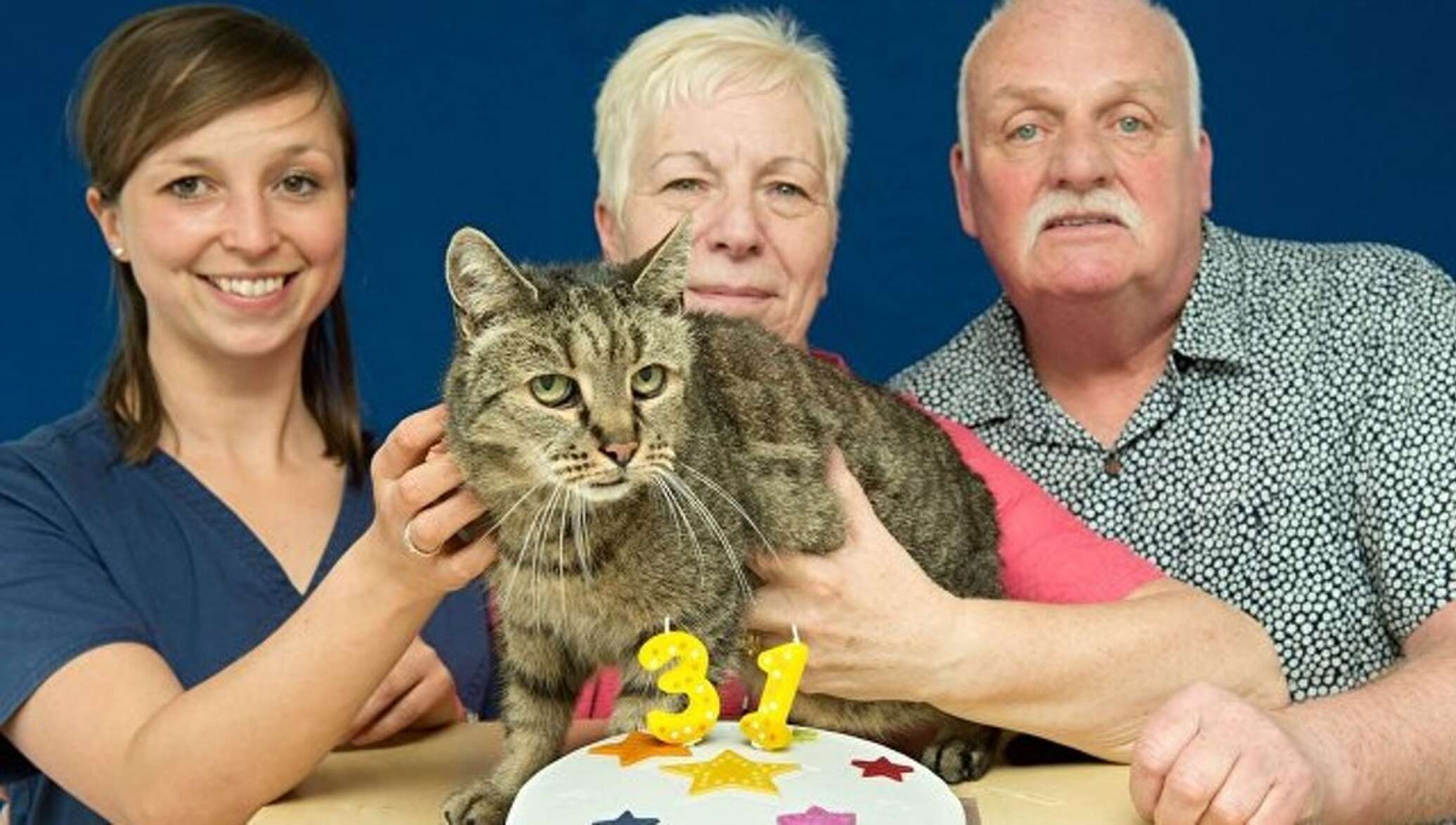 Самый долгий лет жизни. Кот долгожитель Крим Пафф. Кошка Люси долгожитель. Кот Натмег. Кошки долгожители рекорд Гиннесса.