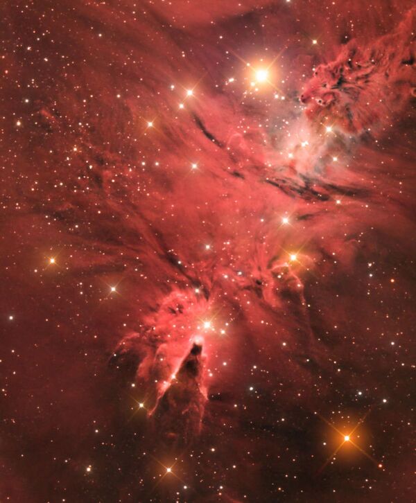 Снимок фотографа Джейсона Грина из Гибралтара Звездное скопление Снежинки (The Cone Nebula (NGC 2264), получивший специальный приз за лучший дебют в фотоконкурсе. - Sputnik Абхазия
