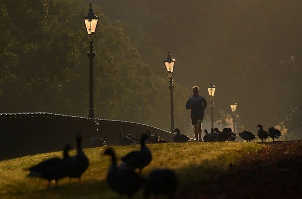 Ранним утром в Гайд-парке в Лондоне, Британия. - Sputnik Абхазия