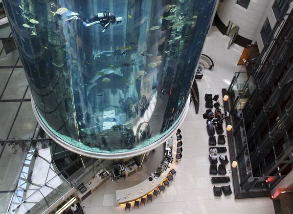 Aqua Dom - крупнейший в мире аквариум с солёной водой - Sputnik Абхазия