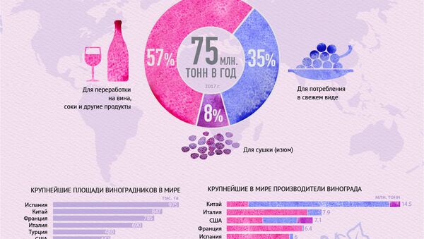 Виноград - польза и вред - Sputnik Абхазия