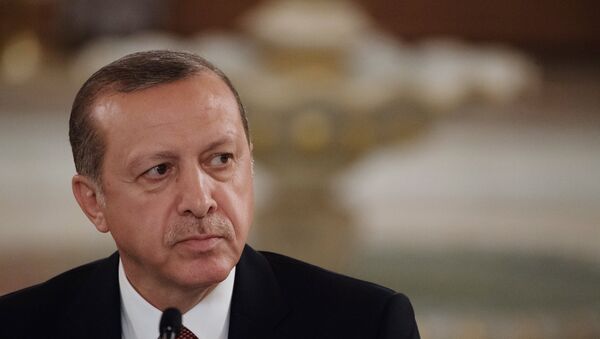 Президент Турции Реджеп Тайип Эрдоган, фото из архива - Sputnik Аҧсны