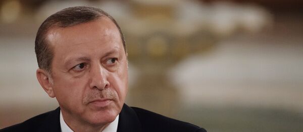 Президент Турции Реджеп Тайип Эрдоган, фото из архива Президент Турции Реджеп Тайип Эрдоган, фото из архива - Sputnik Абхазия