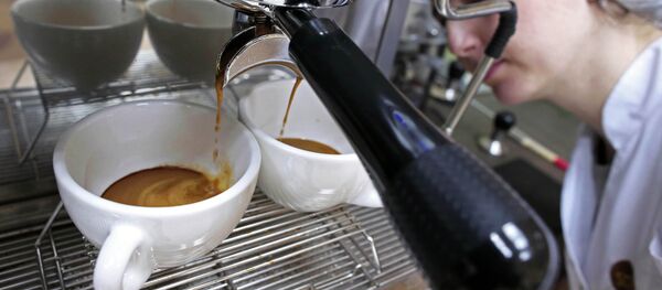 Производство кофе на предприятии корпорации Союз Производство кофе на предприятии корпорации Союз - Sputnik Абхазия