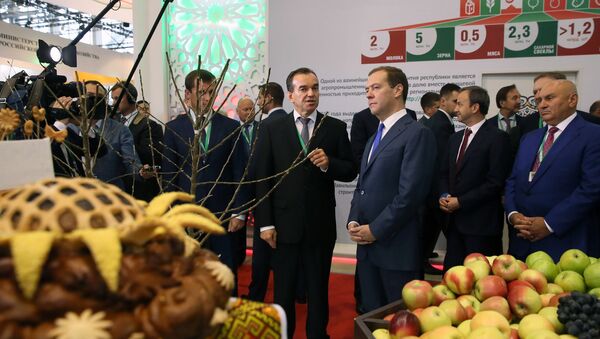 Премьер-министр РФ Д. Медведев посетил агропромышленную выставку Золотая осень – 2017 - Sputnik Абхазия