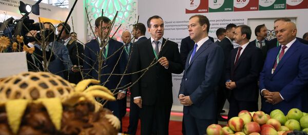 Премьер-министр РФ Д. Медведев посетил агропромышленную выставку Золотая осень – 2017 Премьер-министр РФ Д. Медведев посетил агропромышленную выставку Золотая осень – 2017 - Sputnik Абхазия