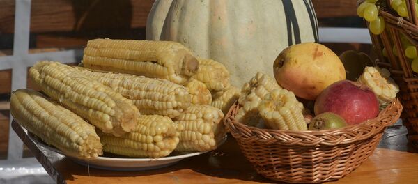 Праздник урожая в Лыхны Праздник урожая в Лыхны - Sputnik Аҧсны